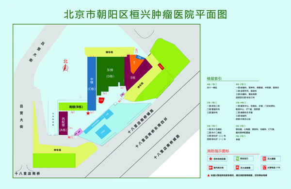 欧洲老太婆操B视频北京市朝阳区桓兴肿瘤医院平面图